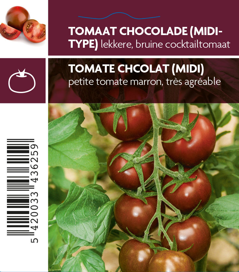 Tomate chocolat (midi)