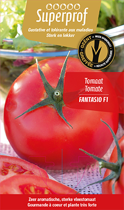 Tomate greffée Fantasio F1