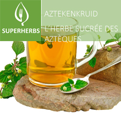 Verveine sucré des Aztèques pot 14
