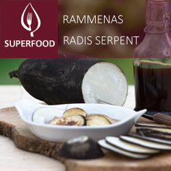 Radis serpent pot 14