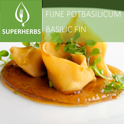Basilic fin pot 14