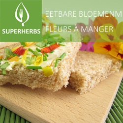 Fleurs comestibles mix pot 14