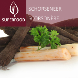 Scorsonère pot 14