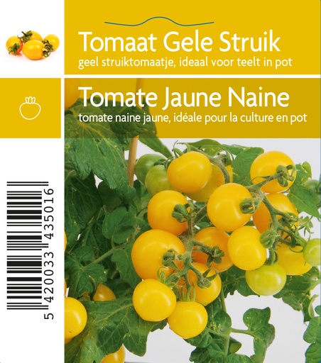 [3501] Tomate jaune naine
