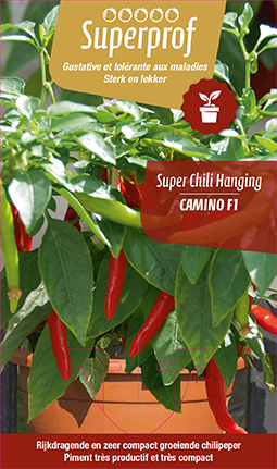 [7200] Super chili hanging