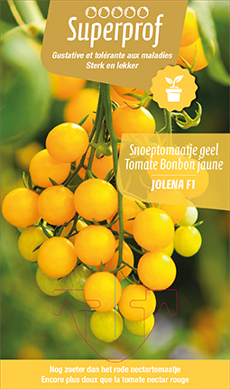 [7504] Tomate nectar jaune