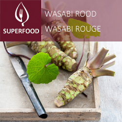 [9800] Wasabi-rouge pot 14