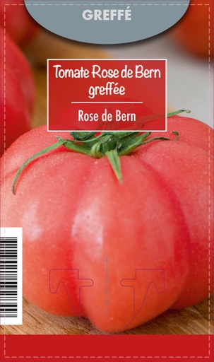 [DEG-00004] Tomate Rose de Bern Greffée