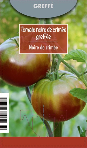 [DEG-00003] Tomate Noire de Crimée Greffée