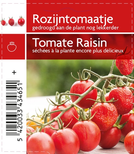 [3465] Tomate raisin