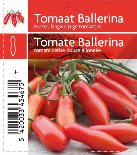 [3467] Tomate ballerina