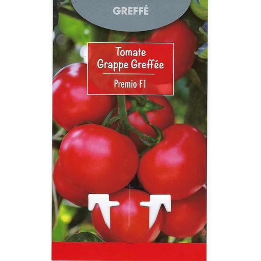 Tomates Grappe Greffée