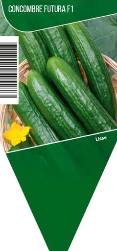 [3104] Concombre pot 10,5