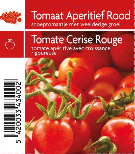 [3400] Tomate cerise pot 10,5