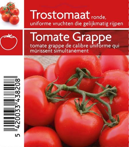 [3820] Tomates en grappes pot 10,5