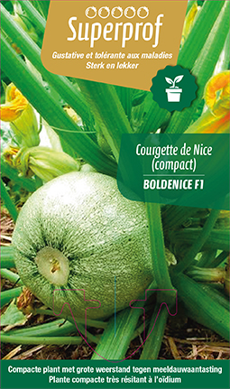 [7030] Courgette de Nice