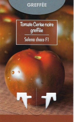 Tomate cerise noire Greffée