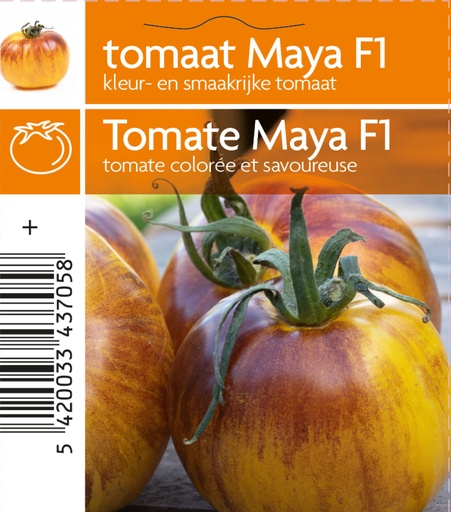 [3705] Tomate Maya F1 pot 10,5