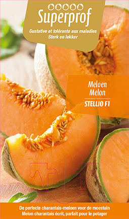 [7145] Melon Stellio F1