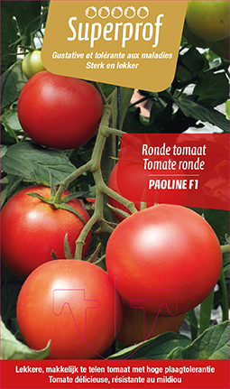 [7508] Tomate Paoline F1