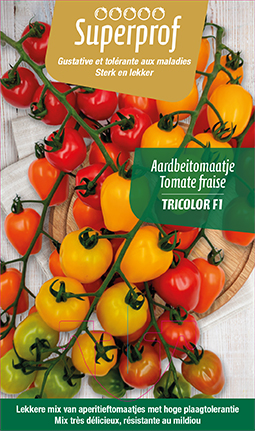 [7509] Tomate fraise Tricolor F1