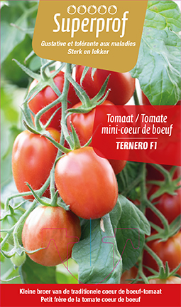 [7450] tomate petit coeur de boeuf Ternero F1
