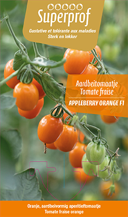 [7492] Tomate fraise Appleberry orange F1