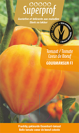 [7635] Tomate greffée c.d.b. Gourmansun F1