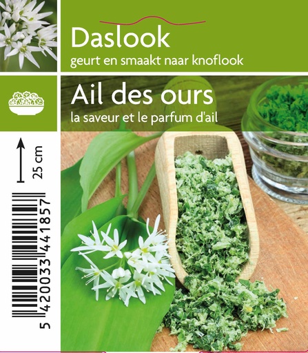 [4185] Ail des ours