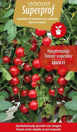 [7495] Tomate cerise suspendue