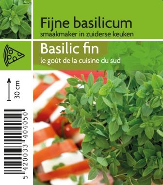 [4050] Basilic fin