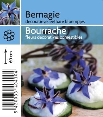 [4100] Bourrache