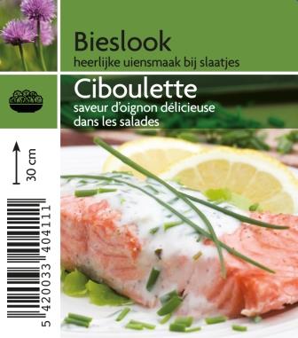 [4110] Ciboulette