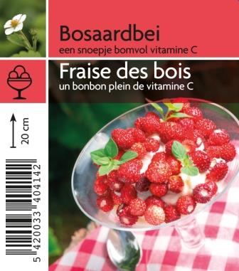 [4140] Fraise des bois