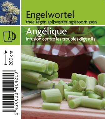 [4210] Angélique