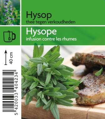 [4230] Hysope