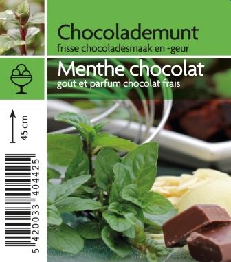 [4420] Menthe 'Chocolat'