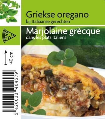 [4570] Origanum heracleoticum