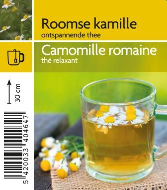 [4640] Camomille romaine