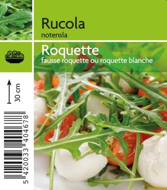 [4670] Roquette