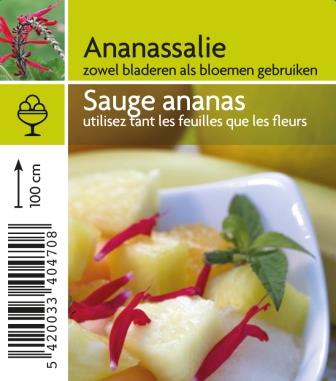 [4700] Sauge ananas