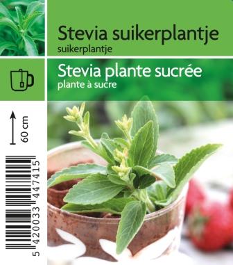 [4741] Stevia plante sucrée