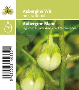 [3310] Aubergine blanc 'White egg'