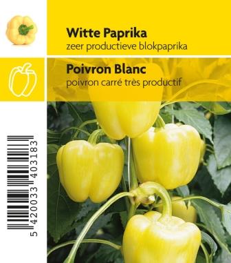 [3190] Poivron blanc Belladonna F1