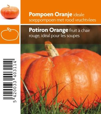[3040] Potiron orange pot 10,5