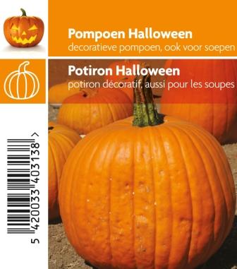 [3060] Potiron Halloween pot 10,5