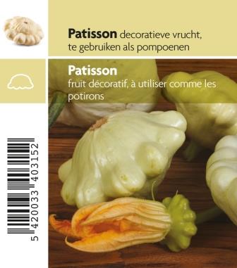 [3090] Patisson blanc pot 10.5
