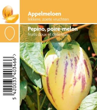 [3115] Pepino o√π poire-melon