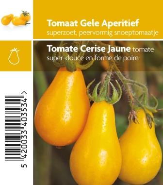[3450] Tomate cerise poire jaune pot 10,5