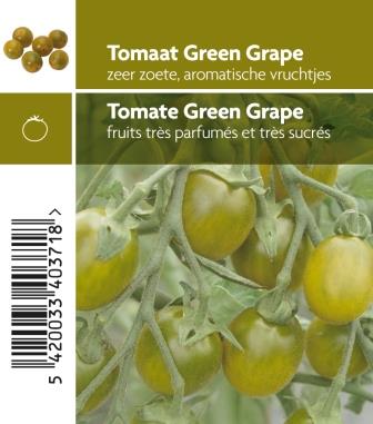 [3470] Tomate Green Grape